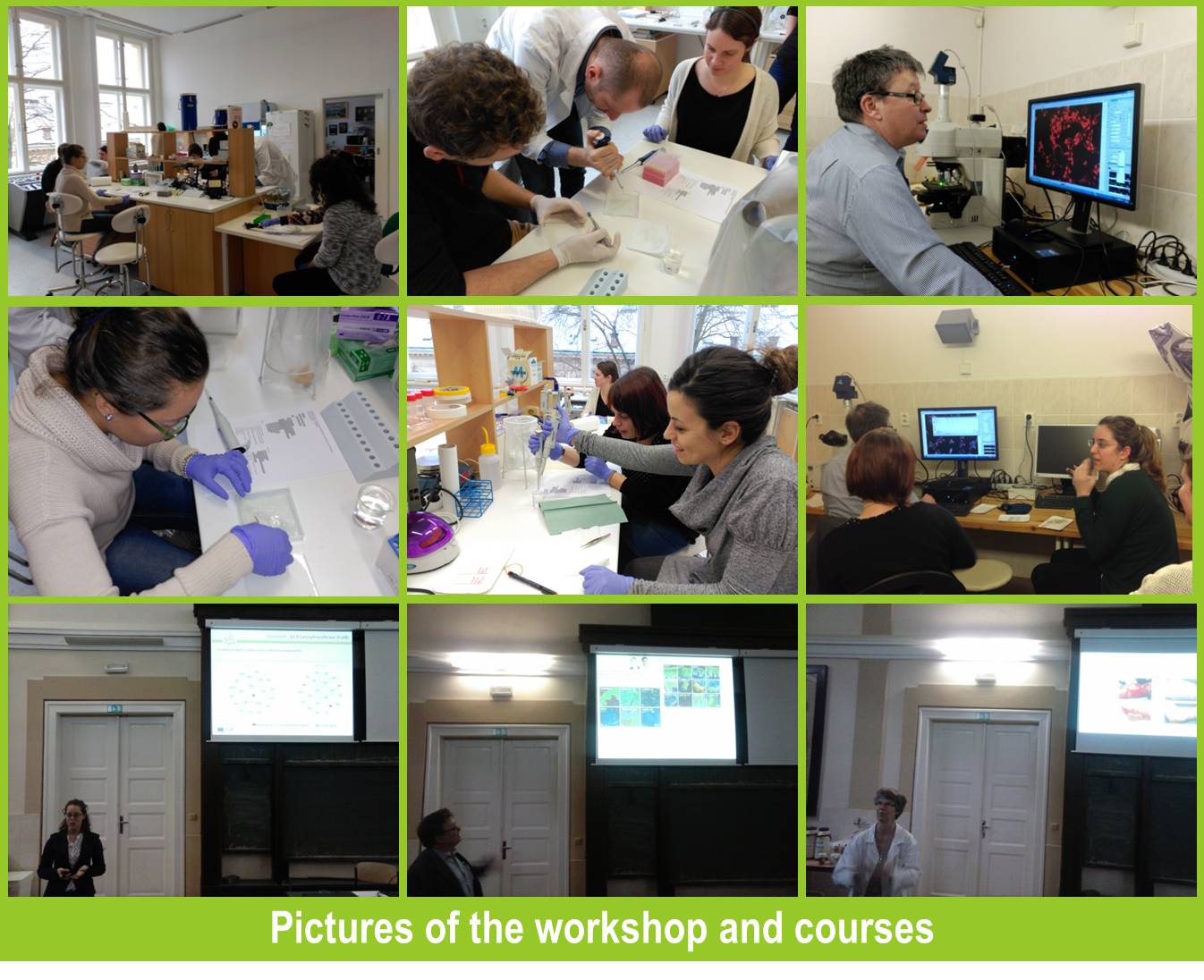 Workshop and courses